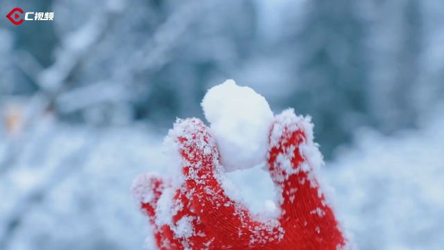 C视频|夹江茶山初雪上线 琼花飞舞美如画