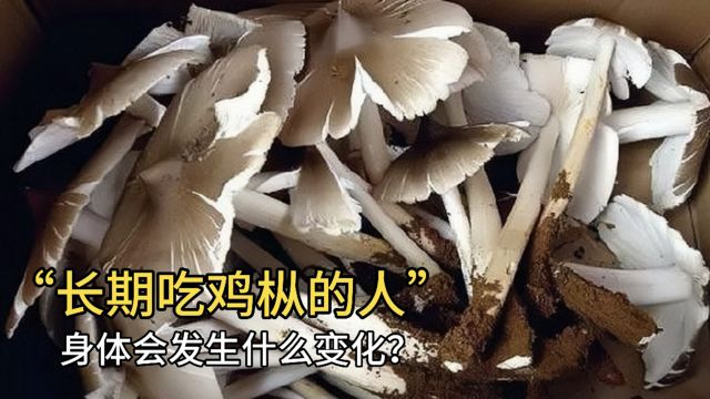 长期吃鸡枞菌的人,身体会发生什么变化?医生终于道出真相!