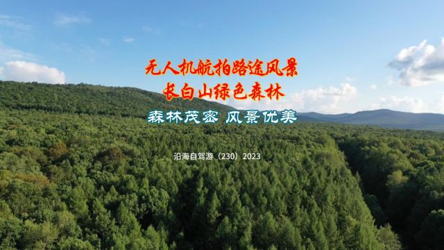 百日自驾三(230)航拍前往长白山南景区路途中漂亮的森林风景,森林茂密,一片绿色