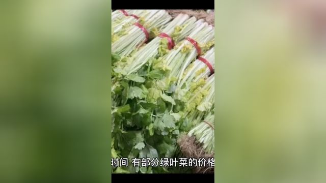 近期为何菜比肉还贵?蔬菜涨价背后的原因是什么?