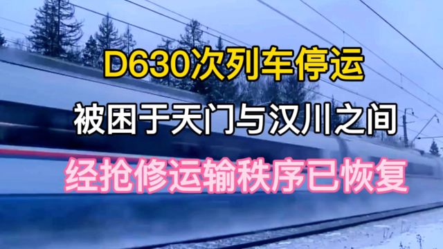 D630次列车停运,被困于天门与汉川之间,经抢修运输秩序已恢复