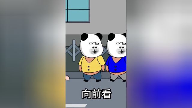 这个厂的中介太坏了,还好有我