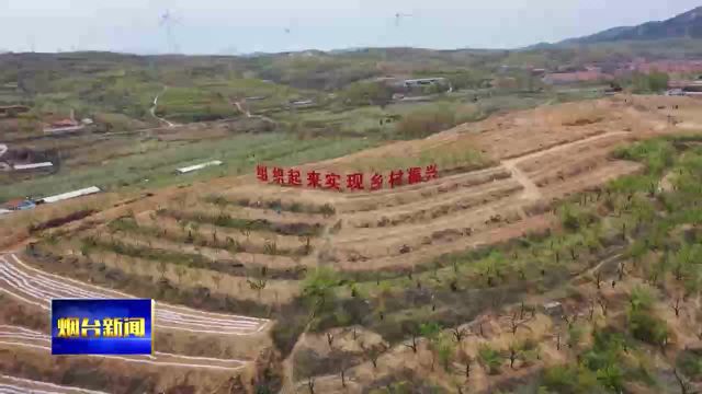 数量全省第一!我市又一批镇村入选省级农业强镇名品村