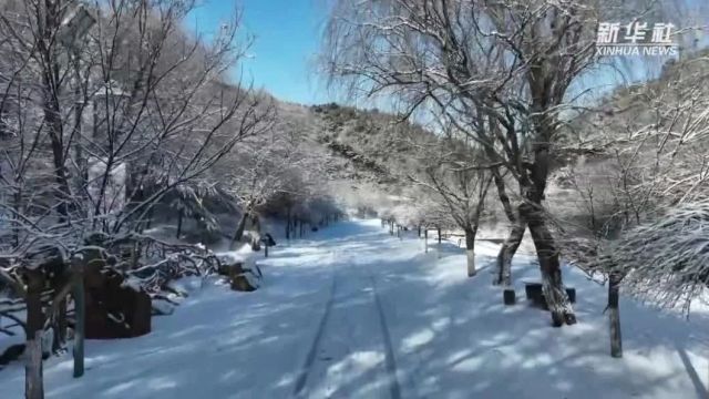 千城胜景|河北滦州:青龙山沐雪如仙境