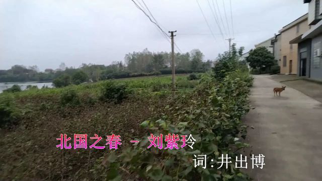 北国之春(中文版)