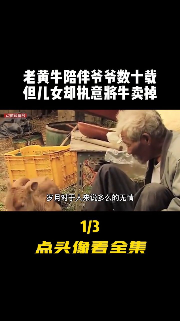 阜外醫院黃牛加號黃牛票販子電話的簡單介紹