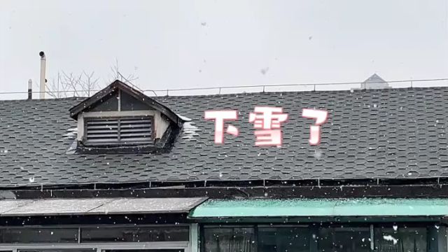 杭州终于下大雪啦!市气象台发布道路结冰黄色预警信号