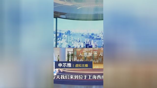 人民之城|虚拟主播穿越看上海 申雅带你走进“滨海花园”金山,守望这里景