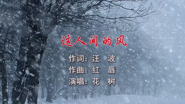 这人间的风 作词:汪波 作曲:红唇 演唱:花树 制作:梦琳音乐 发行:琳悦文化传媒