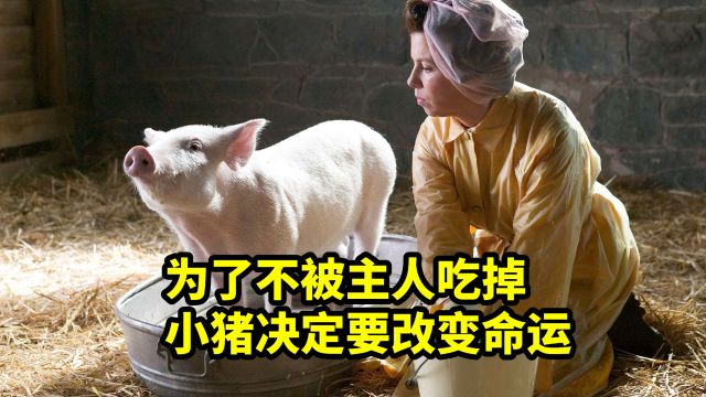 注定被吃掉的小猪,如何改变自己的命运,喜剧电影《夏洛特的网》