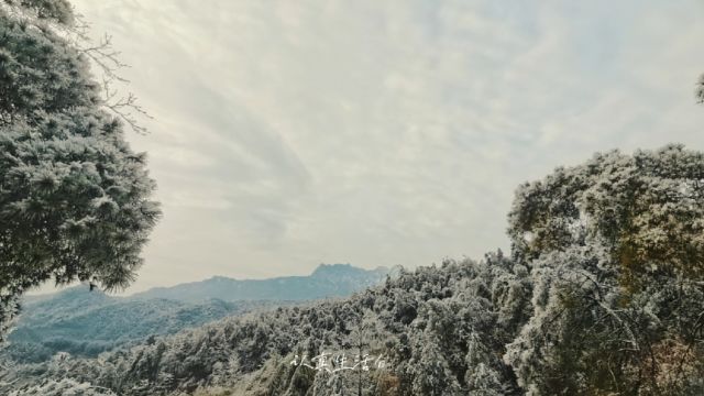 满目山河空念远,落雪时节正逢春.