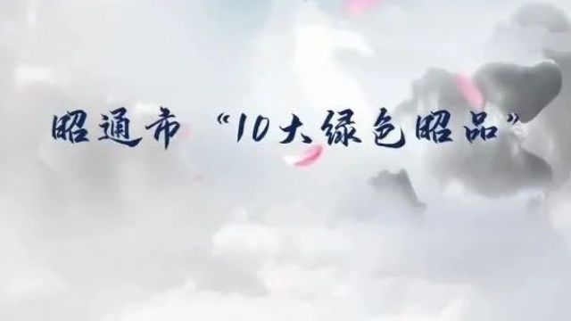 【关注】昭通市2023年“10大品牌”名单揭晓