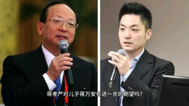 蒋孝严期望儿子能更进一步吗?他只是说:万安具备从政的完美履历