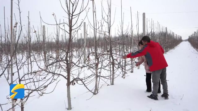 潍坊诸城:雪后农技指导 保产促丰收