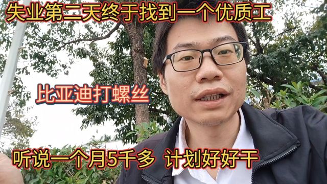 失业第二天终于找到一个优质工作,宝龙比亚迪打螺丝!计划好好干