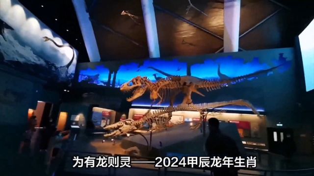 2024年龙文化