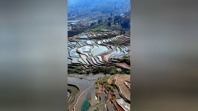 摄影师的旅游圣地云南红河元阳哈尼梯田这里世居着哈尼族和彝族