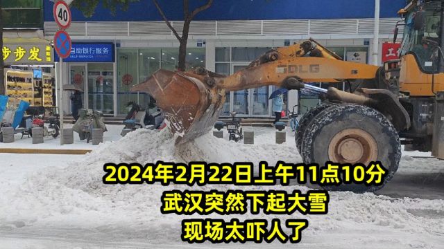 2024年2月22日上午11点10分,武汉突然下起大雪,现场太吓人了