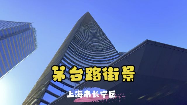 茅台路街景~上海市长宁区