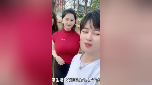 盘点那些调皮的人类,身边有这样的朋友,乐趣无穷