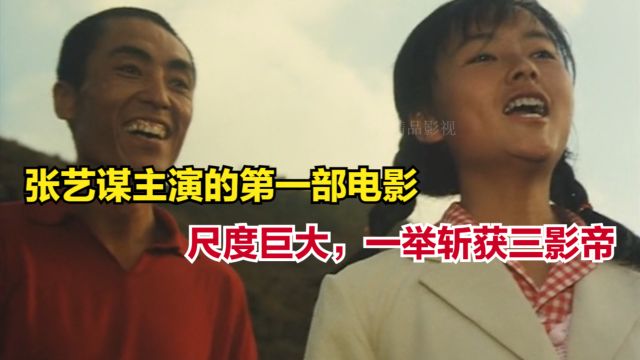 张艺谋主演的第一部电影,尺度巨大,一举斩获三影帝.