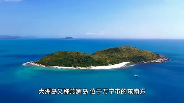 大洲岛是中国金丝雀唯一的栖息地!环境绝佳哦! 大洲岛是中国唯一一座国家级海洋自然生态保护区.金丝燕在大洲岛上繁衍生息,大批燕窝产自大洲岛....