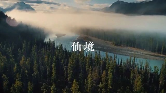 顶级轻音乐《仙境》,为灵魂疗伤的自然旋律