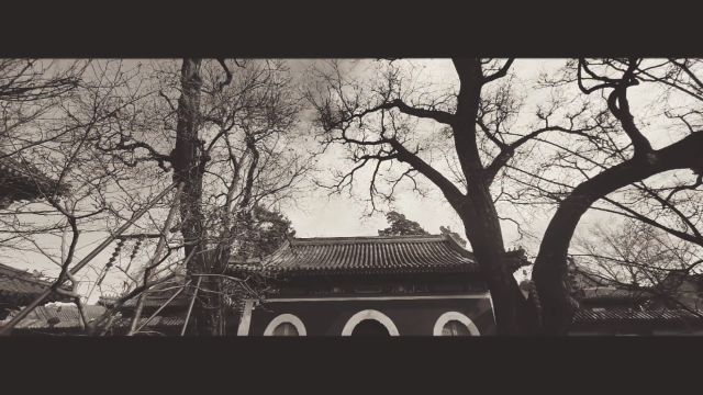 走过万寿寺