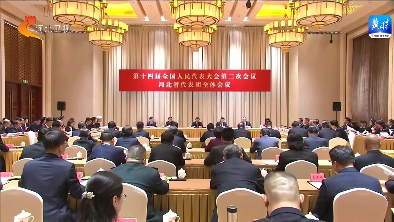 出席十四届全国人大二次会议 河北省代表团召开全体会议