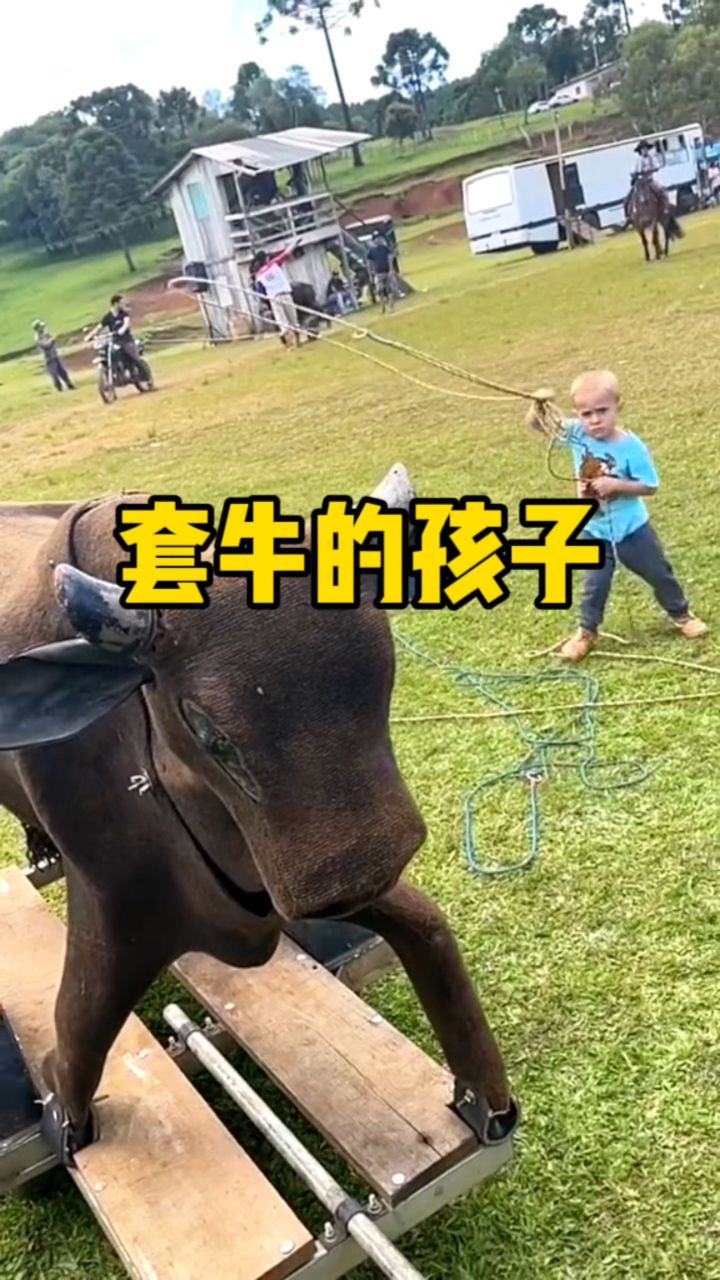 这孩子长大后绝对不得了