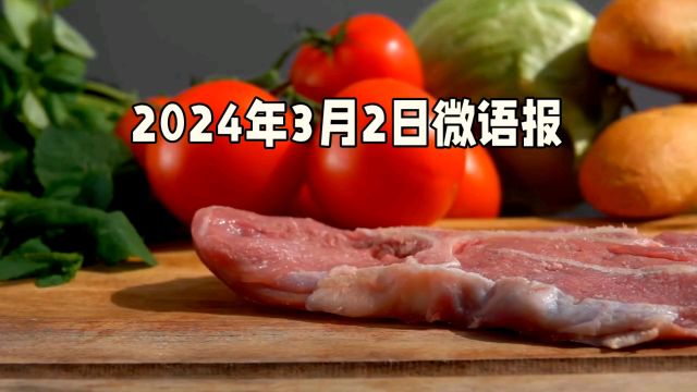 2024年3月2日微语报