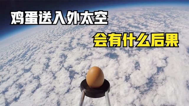 飞上太空的鸡蛋会发生什么?用助推器测试,结局意外出现了