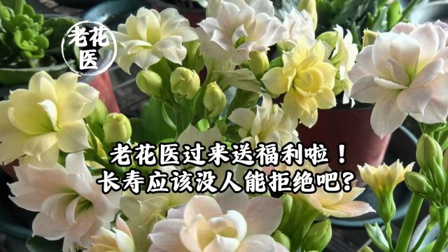 老花医过来送福利啦!长寿应该没人能拒绝吧?