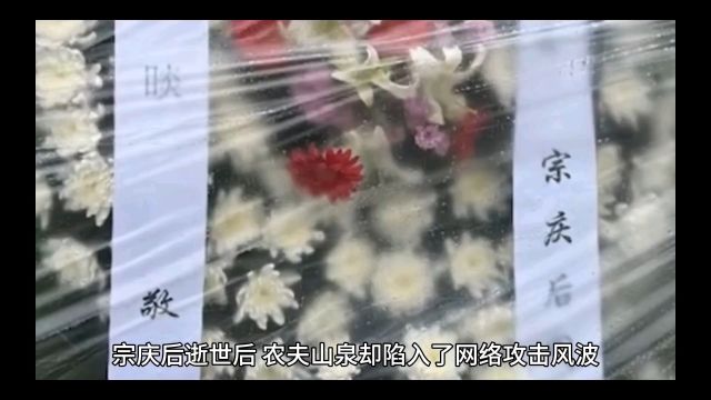 农夫山泉和娃哈哈事件