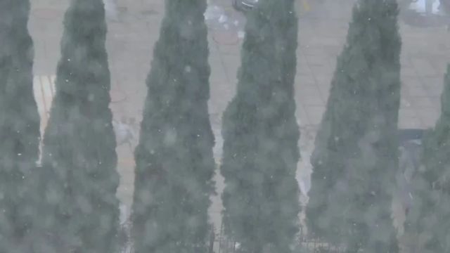 今天,青岛下雪了?!这个周末,温度飙升到10℃!