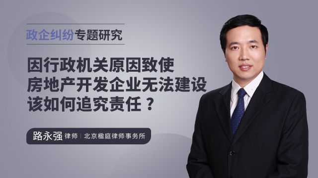 因行政机关原因致使房地产开发企业无法建设该如何追究责任