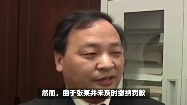 转卖芹菜赚14元被罚10万元:审慎的法律惩罚还是过重的惩罚