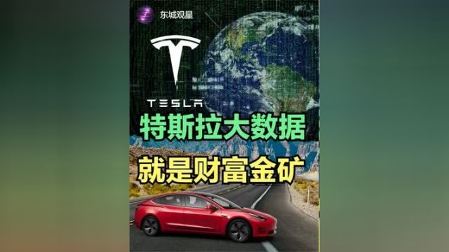 特斯拉汽车收集的数据才是真正的财富金矿 #特斯拉