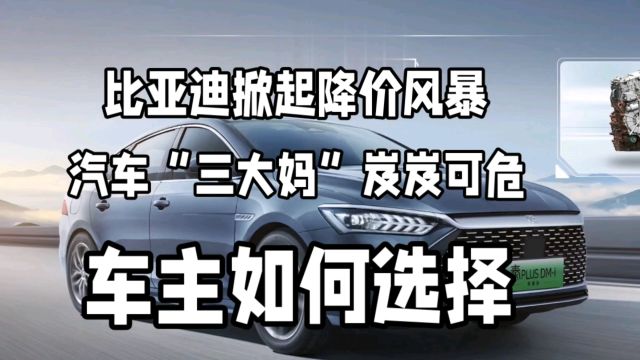 比亚迪掀起降价风暴!汽车三大妈销量岌岌可危,市场或将掀起滔天巨浪!