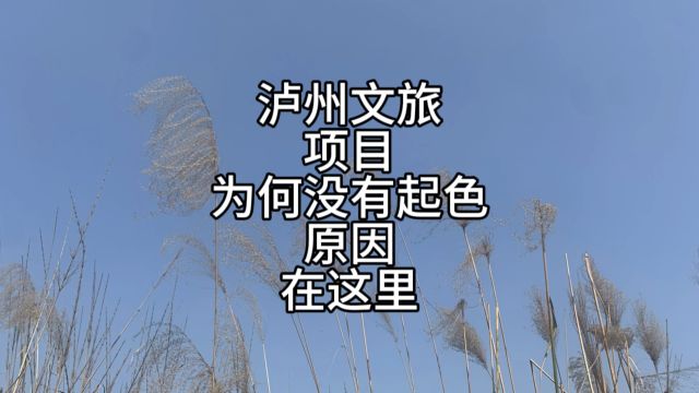 泸州文旅缺的不是对标谁,而是这几样核心内容