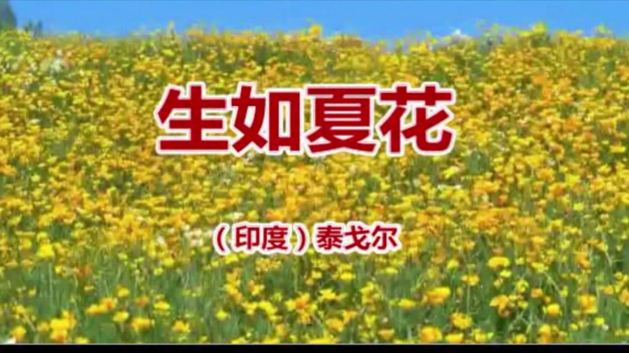 向海英李栋朗诵《生如夏花》20240227