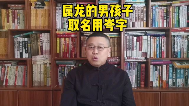 宝宝起名字,属龙的男孩子取名用岑字好不好?