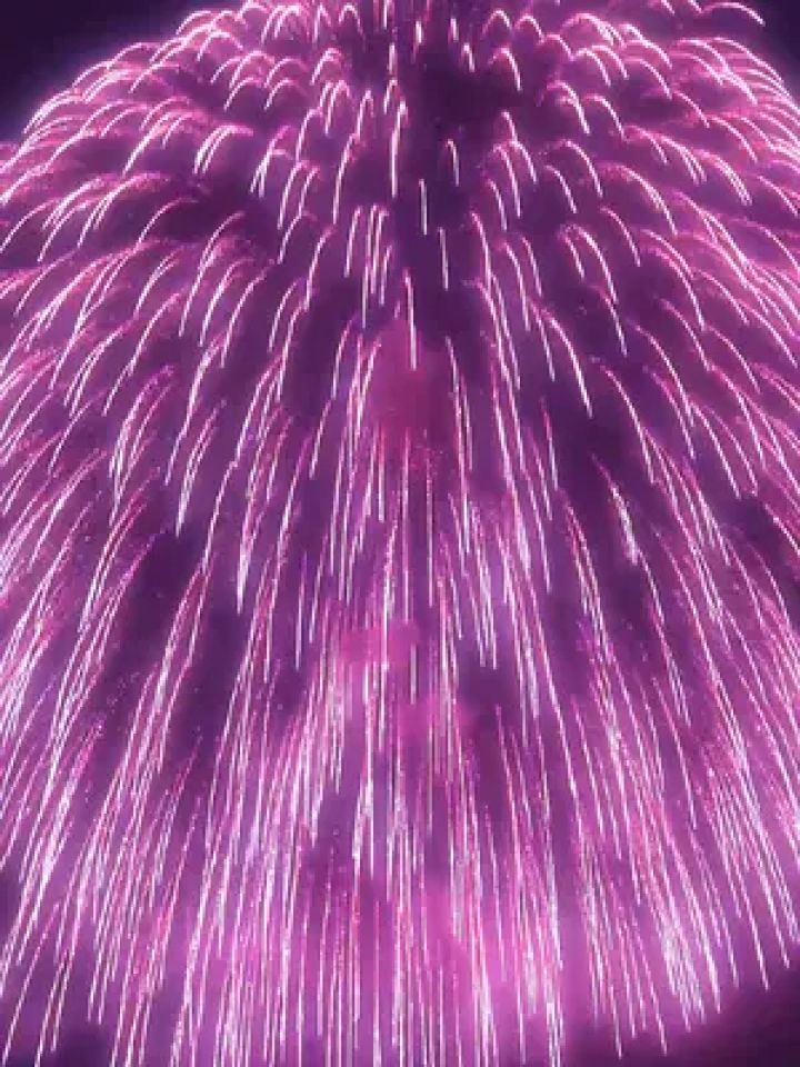 被艾特看紫色烟花的小美女 要开开心心 永远没有烦恼!