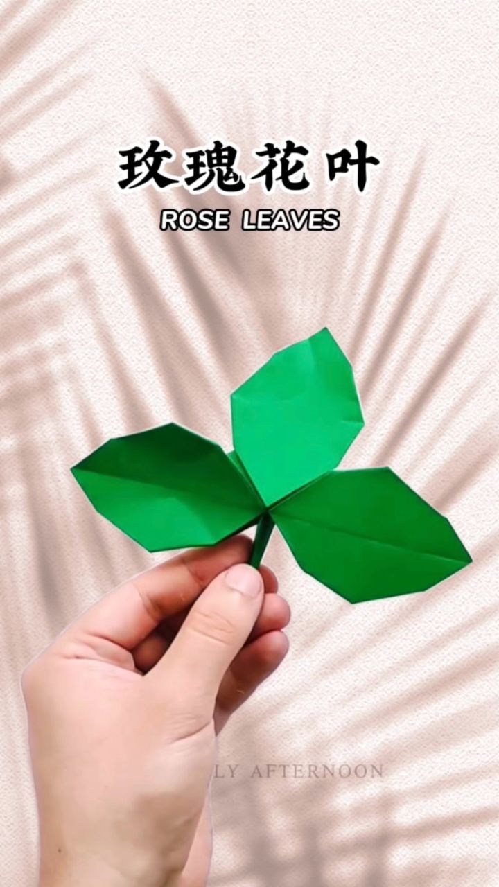 【玫瑰花叶】被风吹过的叶子,是我们的春天!