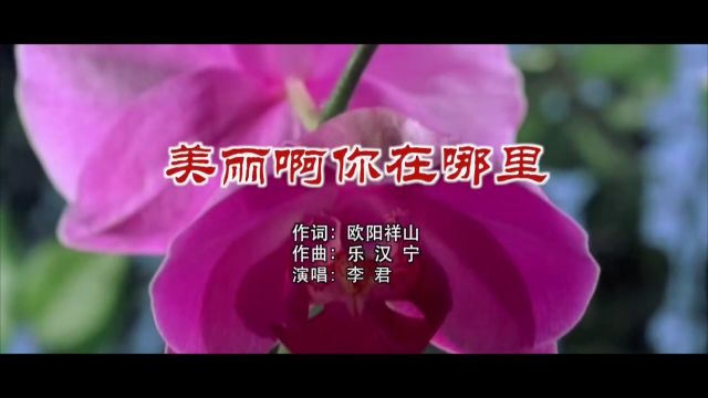 欧阳祥山作词《美丽啊你在哪里》李君演唱