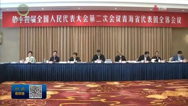 【视频】青海代表团举行全体会议 学习领会习近平总书记在参加江苏代表团审议时的重要讲话精神 陈刚发言 吴晓军主持并发言