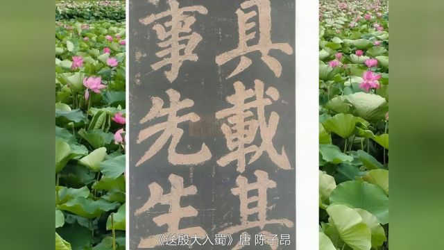 唐诗朗诵《初入峡苦风寄故乡亲友》四首 陈子昂 书法 颜真卿《东方朔话赞》