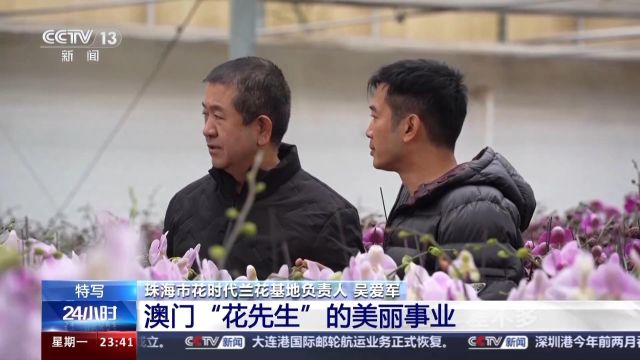 为居民送去春天的芬芳 看澳门“花先生”如何搭上政策快车