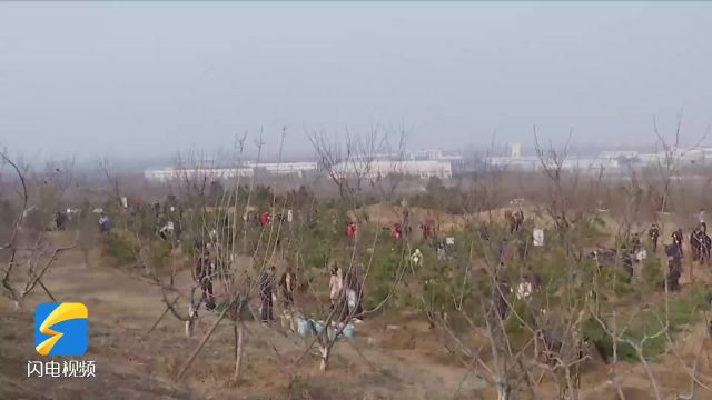 日照东港区开展义务植树活动