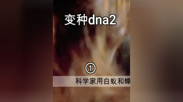 科学家用白蚁和蟑螂DNA,培育出一个怪物 #变种dna2 #科幻 #恐怖